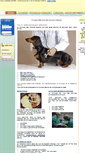 Mobile Screenshot of clinique-veterinaire-des-acacias.fr